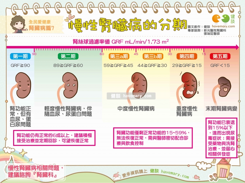 腎臟病,慢性腎臟病,腎臟病分期,健康圖文,健康漫畫,漫漫健康,Kidney disease, chronic kidney disease, kidney disease stages,健談,健談網,havemary
