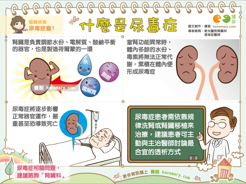 尿毒症,腎臟病,尿毒,健康圖文,健康漫畫,漫漫健康,Uremia, kidney disease,健談,健談網,havemary