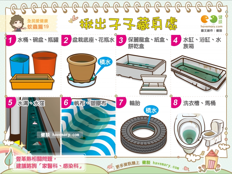孑孓,登革熱,病媒蚊,健康圖文,健康漫畫,漫漫健康,Mosquito larvae, dengue, vector mosquitoes,健談,健談網,havemary