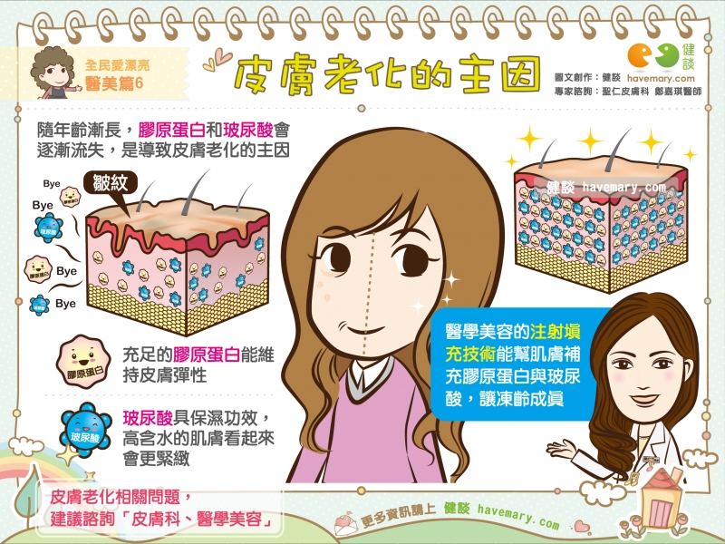 皮膚老化,玻尿酸,膠原蛋白,健康圖文,健康漫畫,漫漫健康,Skin aging, hyaluronic acid, collagen,健談,健談網,havemary
