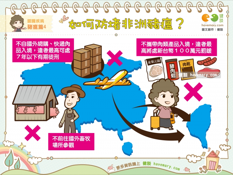 非洲豬瘟,豬瘟,防堵非洲豬瘟,健康圖文,健康漫畫,漫漫健康,圖解健康,African swine fever, swine fever,健談,健談網,havemary