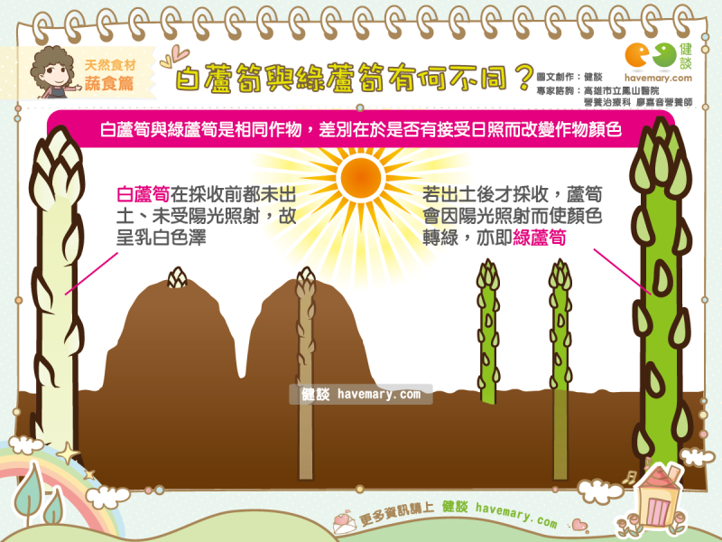 蘆筍,白蘆筍,綠蘆筍,健康圖文,健康漫畫,漫漫健康,圖解健康,廖嘉音,廖嘉音營養師,Asparagus, white asparagus, green asparagus,健談,健談網,havemary